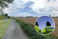Four bicycles stolen in shed burglary in village