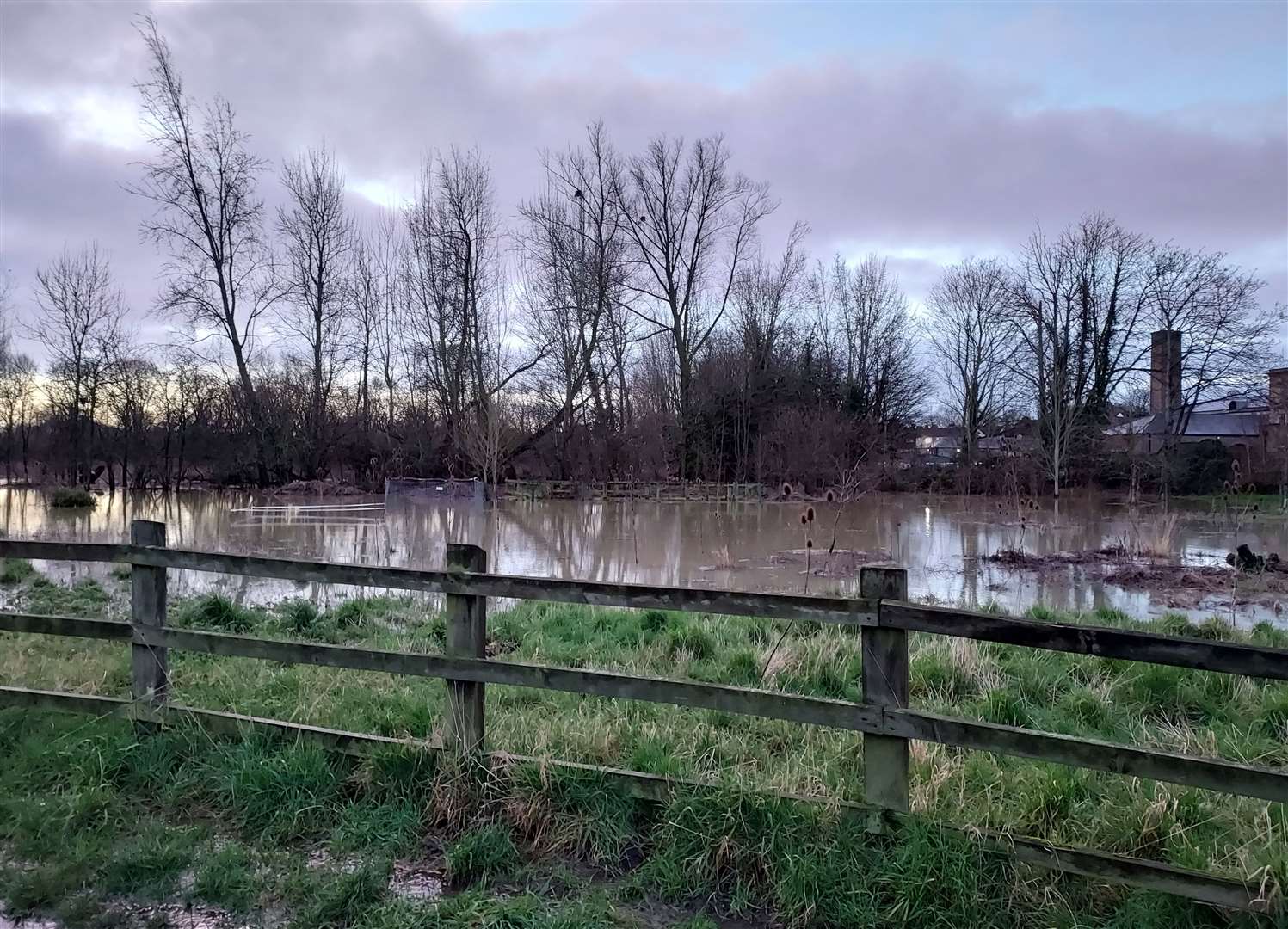 The water meadows next to Kevelaer Way, Bury St Edmunds. Picture: Mariam Ghaemi