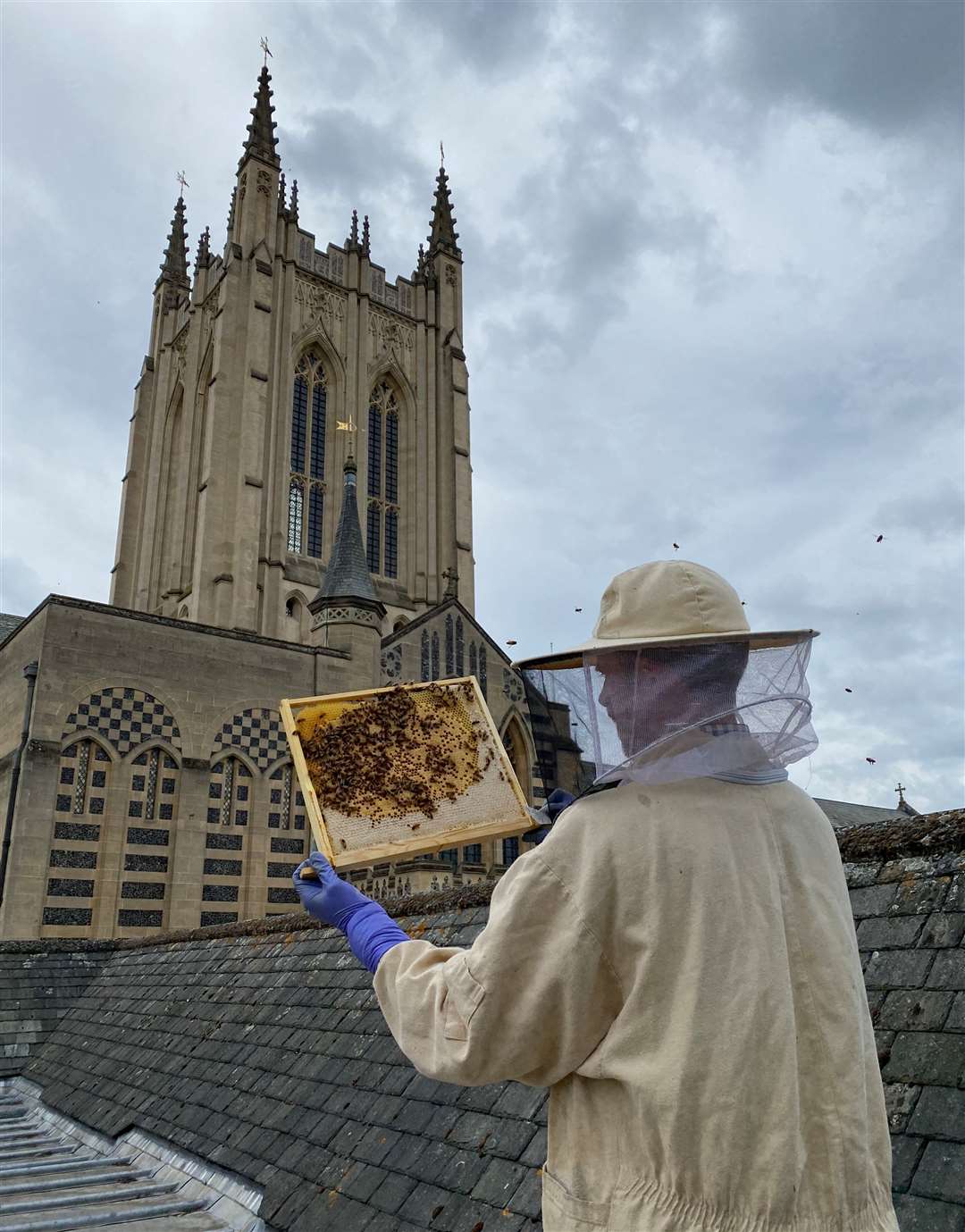 St Edmundsbury Cathedral will be selling its honey from its rooftop beehives. Picture: St Edmundsbury Cathedral