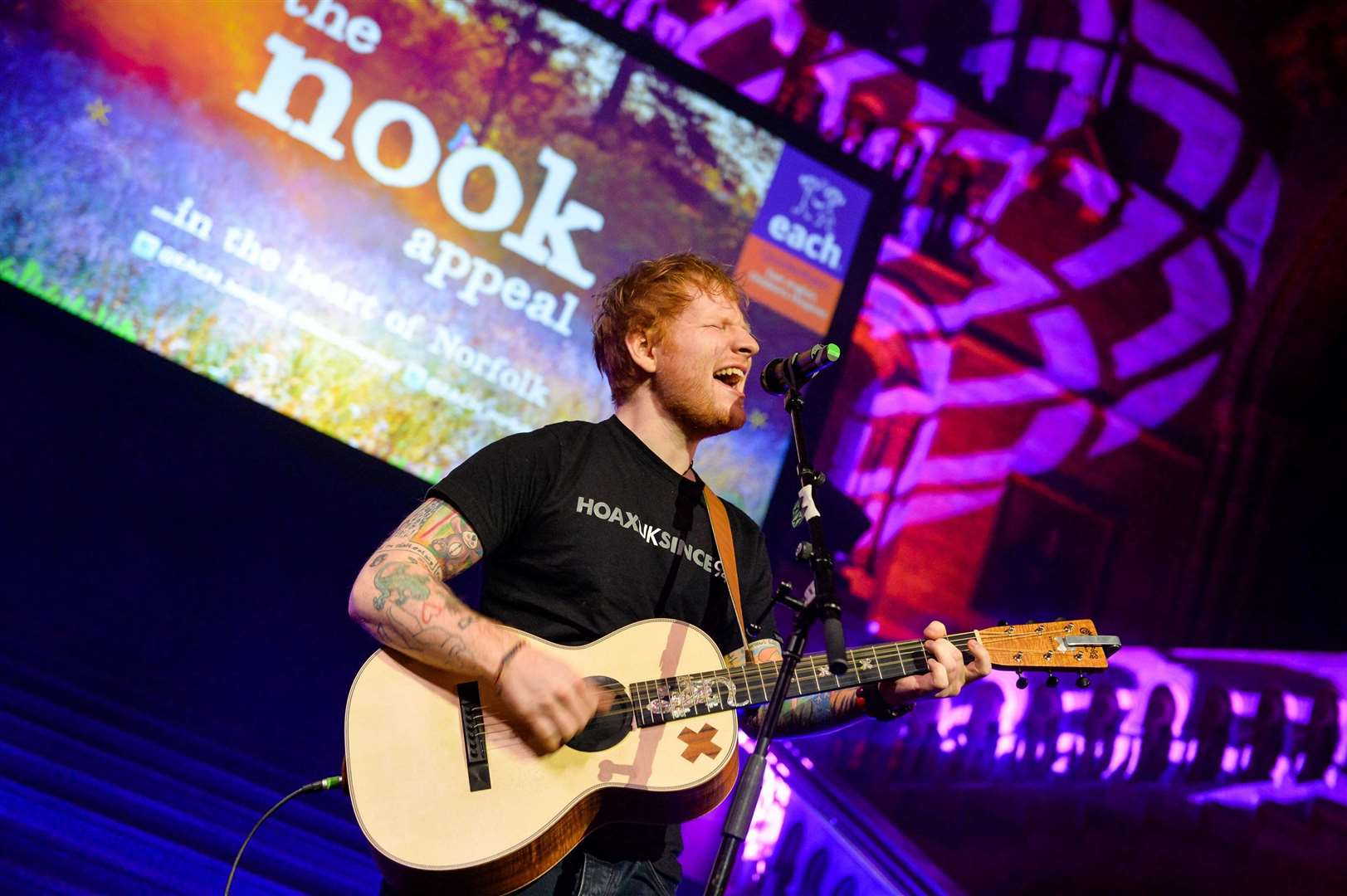 Sheeran performing at The Nook Appeal Gala Dinner at the Natural History Museum in London. Picture: EACH