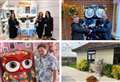 Remember when ‘Big Hoot’ sculptures decorated town? Meet the owners of nine of them