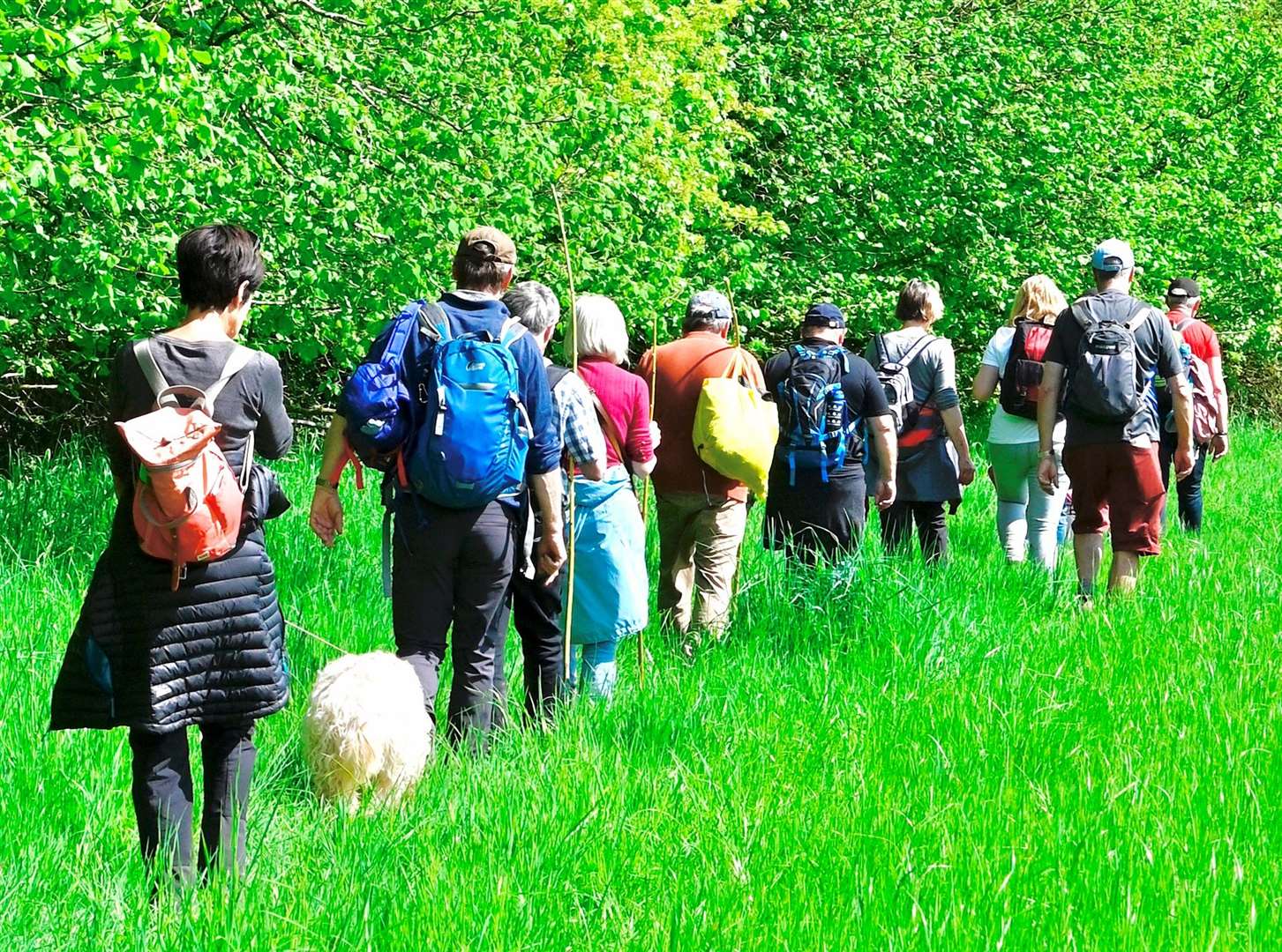 Villagers beating the bounds of Cavendish