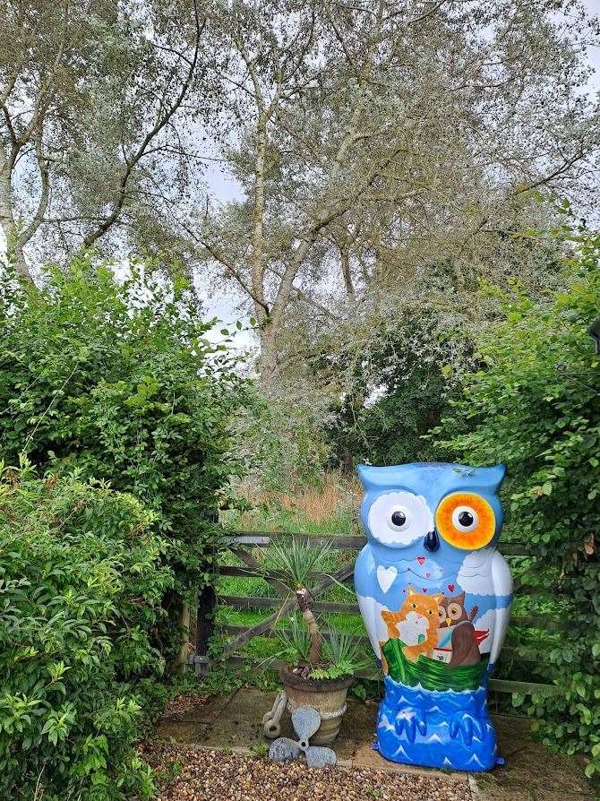 The Owl and the Pussycat is now owned by Diana Spiers. Picture: St Elizabeth Hospice