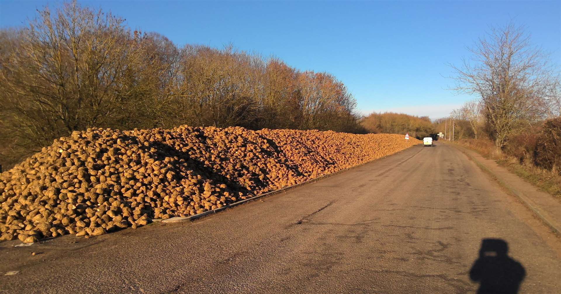 A large amount of sugar beet has been fly-tipped in Old Norwich Road. Picture: Suffolk Highways
