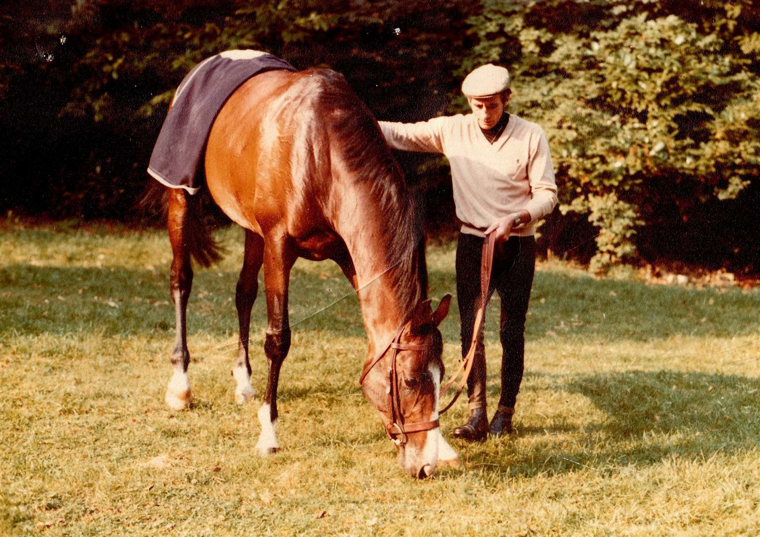 Cliff Lines with Shergar