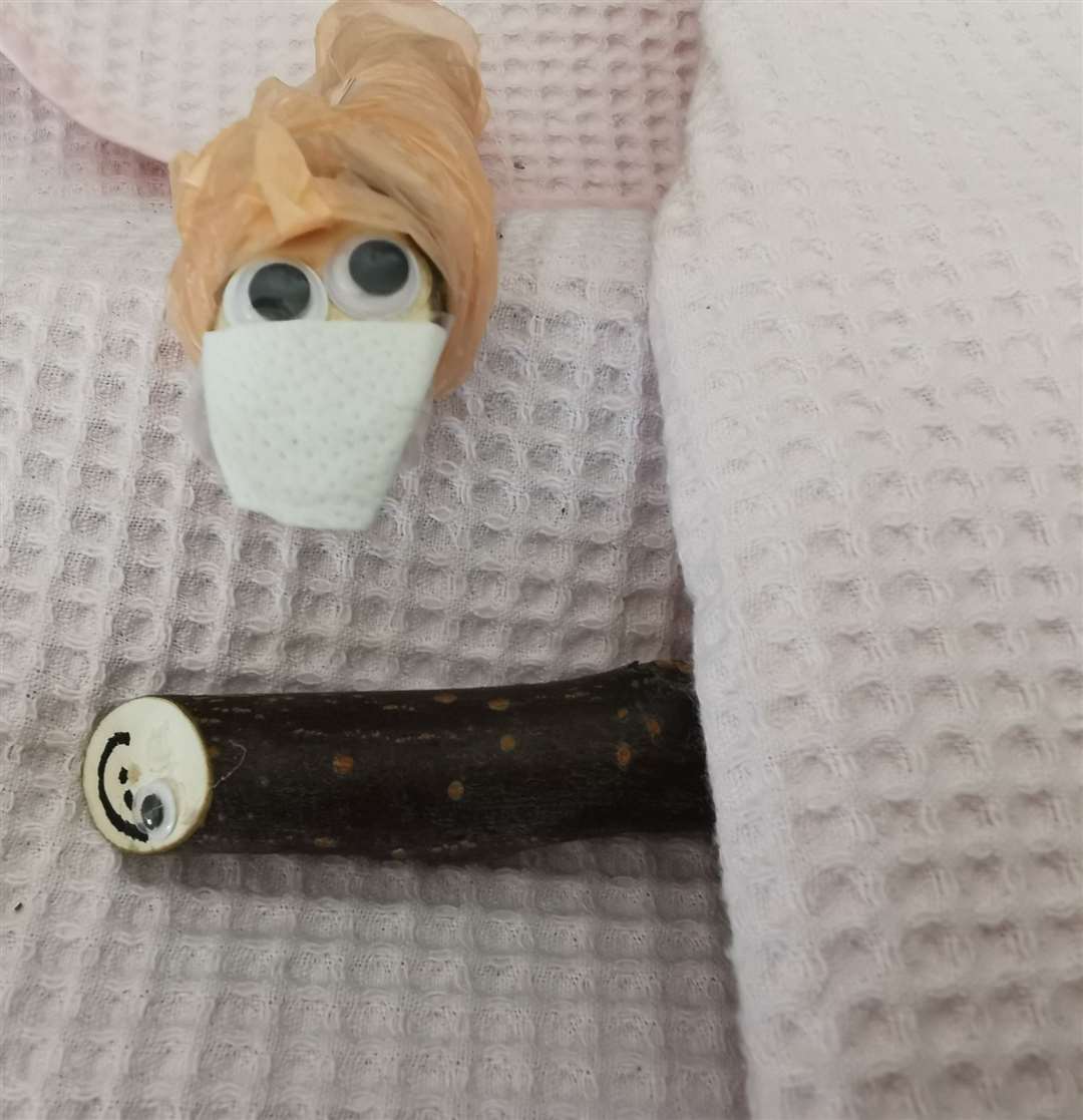 This Stick Pet had to go into surgery after losing an eye